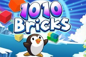 1010bricks300