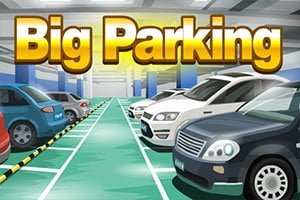 bigparking300